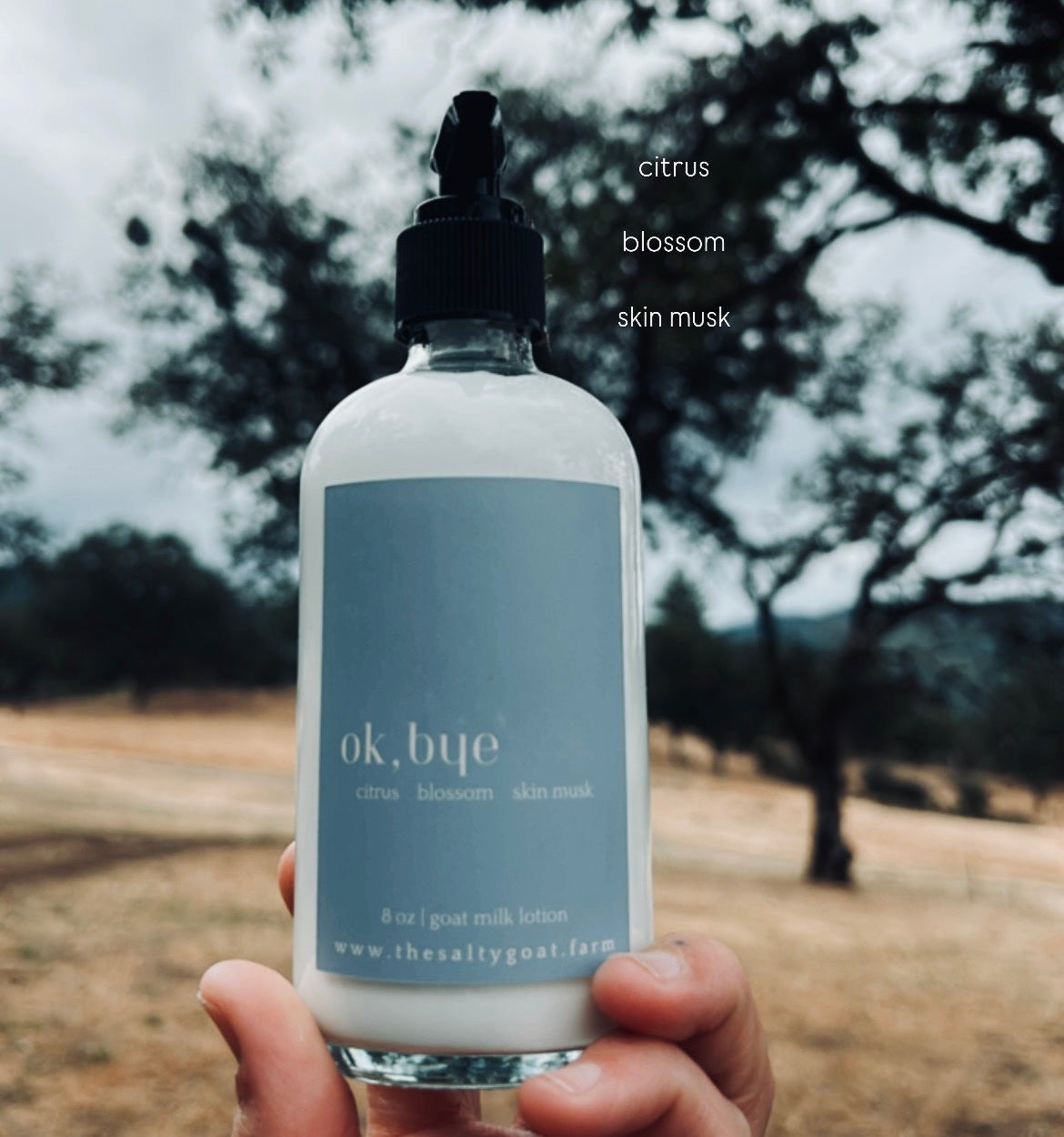 Ok, BYE ✿ Goat Milk Lotion